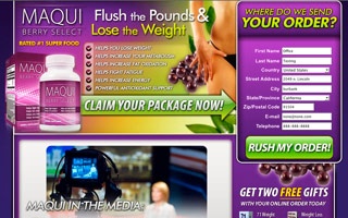 THC Gummies Vs CBD Gummies: Key Differences Explained